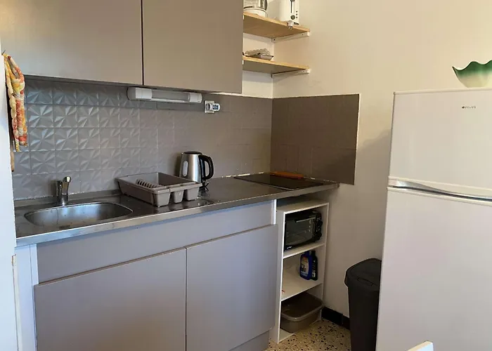 T1 A Avec Climatisation Et Parking - Fr-1-553-284 Apartamento *